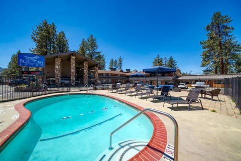 Pool with sun loungers