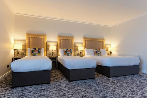 Family Room | Desk, iron/ironing board, free WiFi