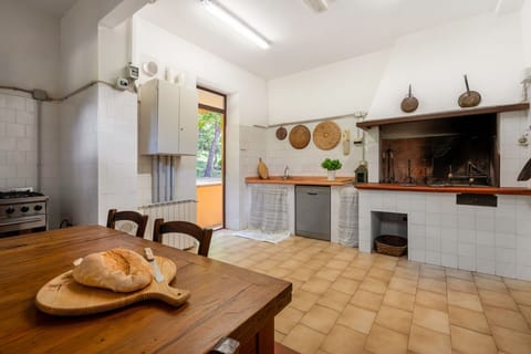 Autumn, Kitchen, Spring, Summer