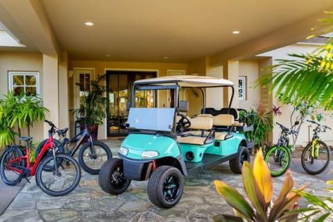 Free access to 6 passenger golf cart 2 E-bikes and 2 peddle bikes.
