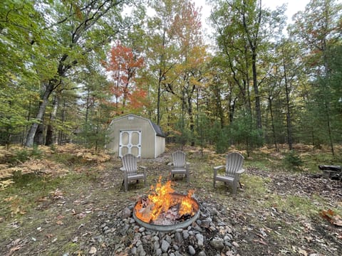 Fire pit in the backyard.