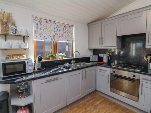 Fridge, dishwasher, electric kettle, toaster