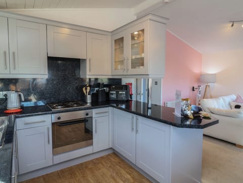 Fridge, dishwasher, electric kettle, toaster