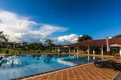 Outdoor pool, sun loungers