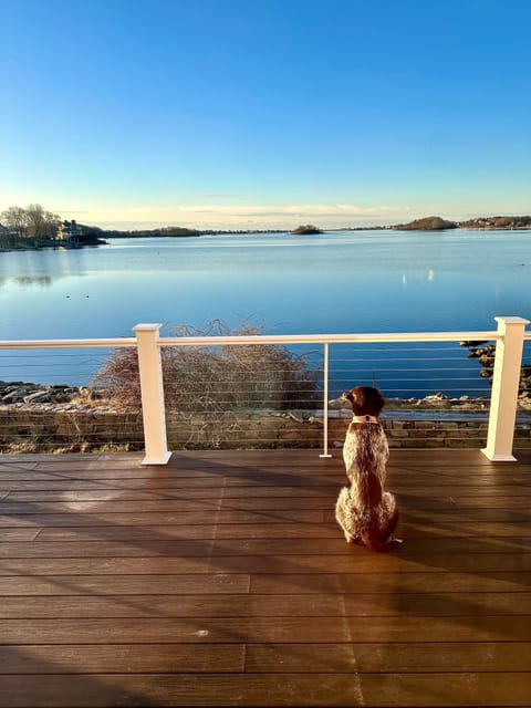 The pup can spend hours observing all the wildlife swim by…