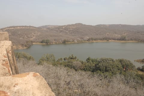Lake view