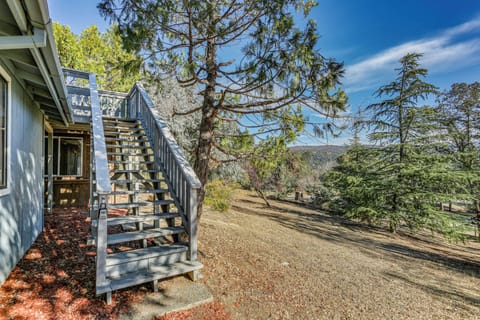 Apartment (0 Bedroom) | Interior