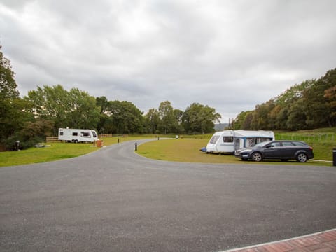 Surrounding area | Oakwood, Aviemore