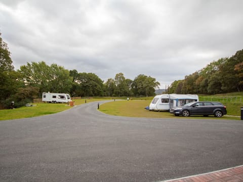 Surrounding area | Oakwood, Aviemore