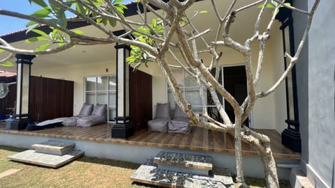 Basic Shared Dormitory | Terrace/patio