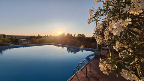 Seasonal outdoor pool, sun loungers