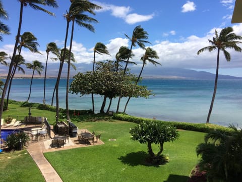 Paradise awaits with swaying palms, turquoise waters, and lush oceanfront grounds stretching to the horizon—your own slice of tropical heaven.