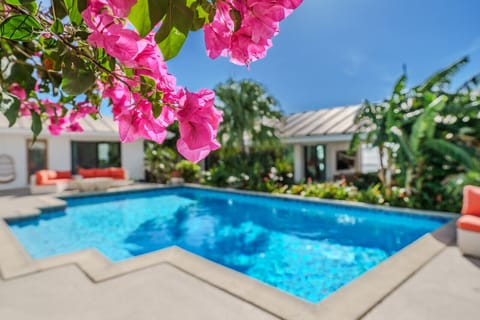 Lush, tropical landscaping!