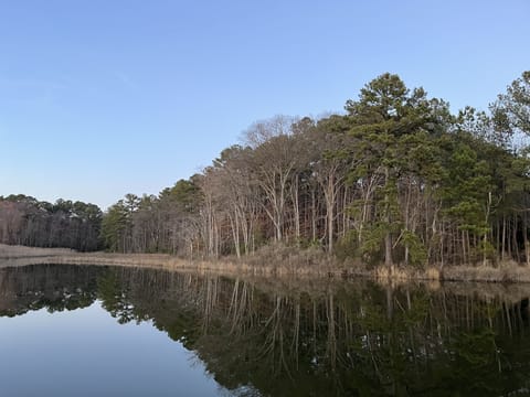 St. Patrick's Creek