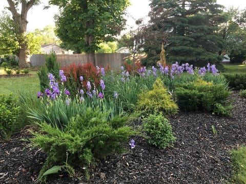 One of the expansive flower gardens