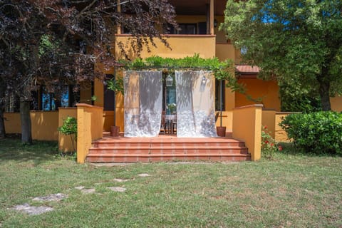 Autumn, Garden, Spring, Summer