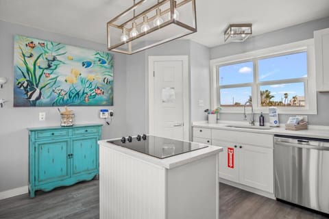 Stylish Kitchen with Modern Appliances and Coastal Touches