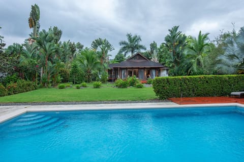 Private swimming pool and tropical garden at Three Monkeys in Cahuita, Costa Rica, offering a peaceful and relaxing setting.