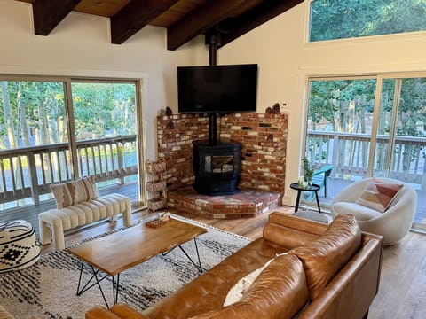 Bright living room with new smart TV
and pellet stove for ambiance and warmth