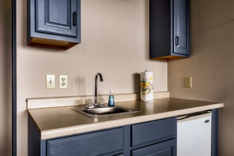 Wetbar in the game room