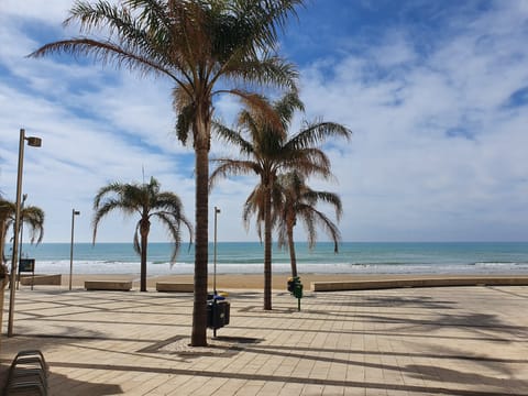 Beach nearby, white sand