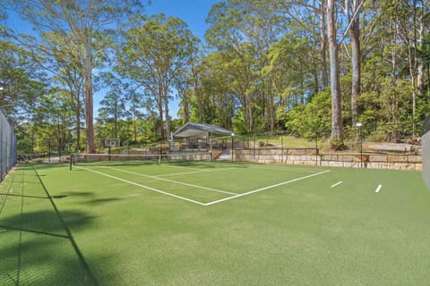 Sport court