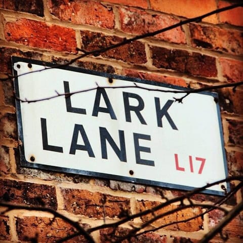 Lark Lane, just a short walk away from the property where you can find independent shops and restaurants- perfect for everyone’s taste!