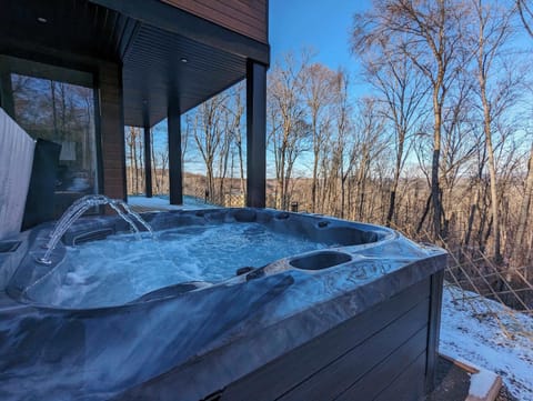 Outdoor hot tub against a backdrop of bare winter trees.
