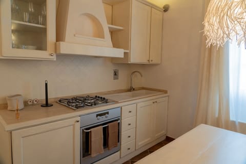 Deluxe Apartment, 1 Queen Bed | Private kitchen