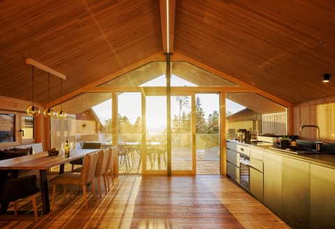 46-inch flat-screen TV with digital channels, Netflix, MP3 dock