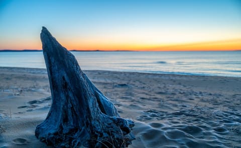 Beach at sunrise