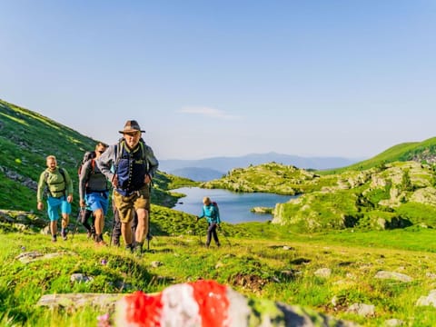 Sky, Plant, Mountain, Green, Natural Environment, Flower, Natural Landscape, Body Of Water, Highland