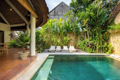 Outdoor pool, sun loungers