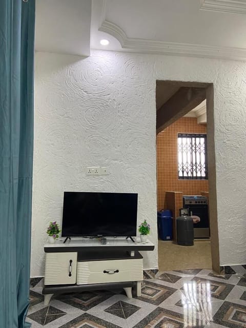 Flat-screen TV