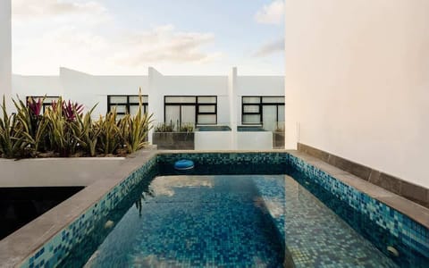 2024-12-08 - Jungle Luxe - Condominio Elena-25