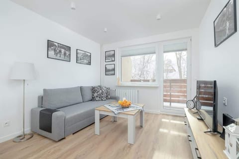 A bright living room with a comfortable gray sofa, coffee table, and a window allowing natural light to fill the space.

