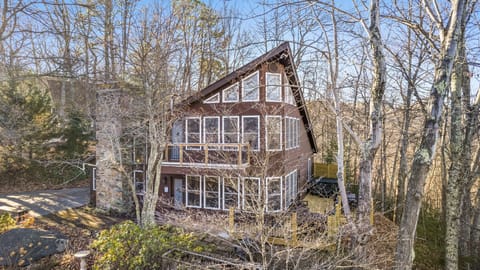 Welcome to Honey Bear Treehouse