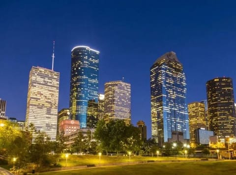 Houston downtown

