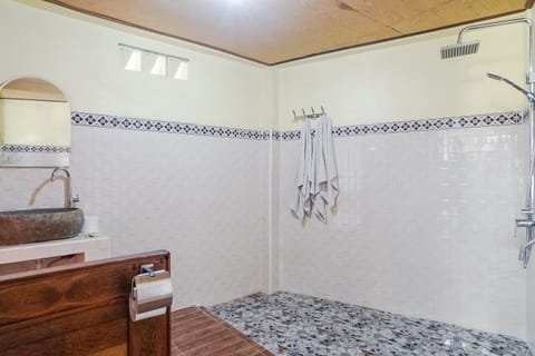 Double Room, Lake View | Bathroom | Shower, rainfall showerhead, free toiletries, towels