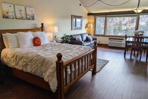 Bedroom/living room