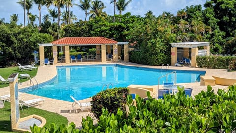 Welcome to our tropical paradise! Crystal pool among palm trees