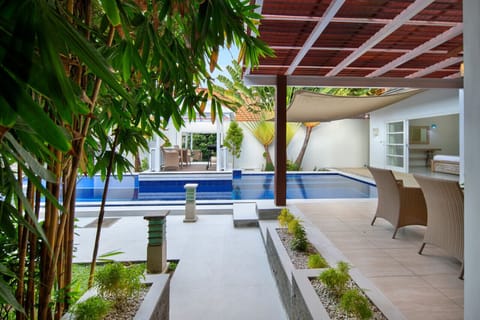 Garden with a beautiful big swimming pool