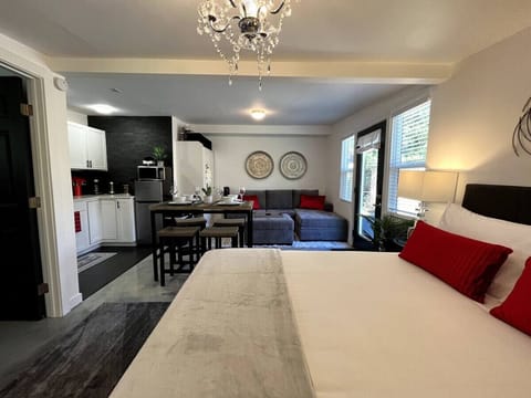 300 square foot,  cozy studio apartment fully equipped with 50` smart tv and plush memory foam mattresses