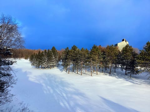 Winter view from large deck 