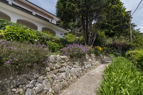 Garden (1)