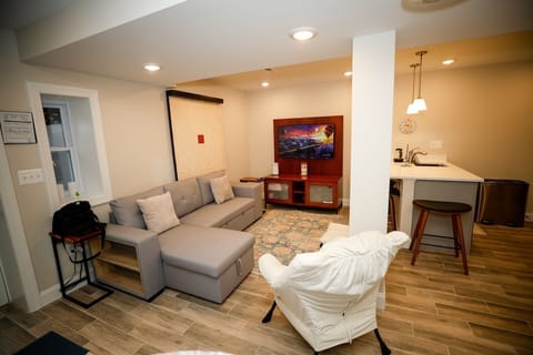Living room area with sofa bed.