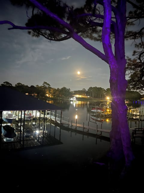 Dancing in the moonlight