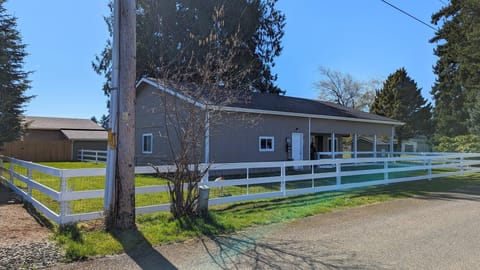 New! Fenced in yard.