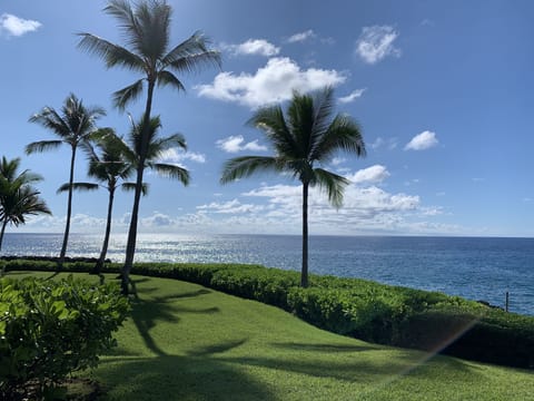 View from lanai