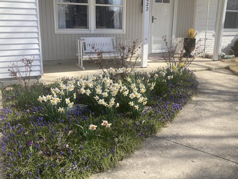 More flowers to come